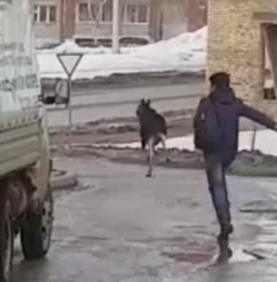Кадр из видео в YouTube